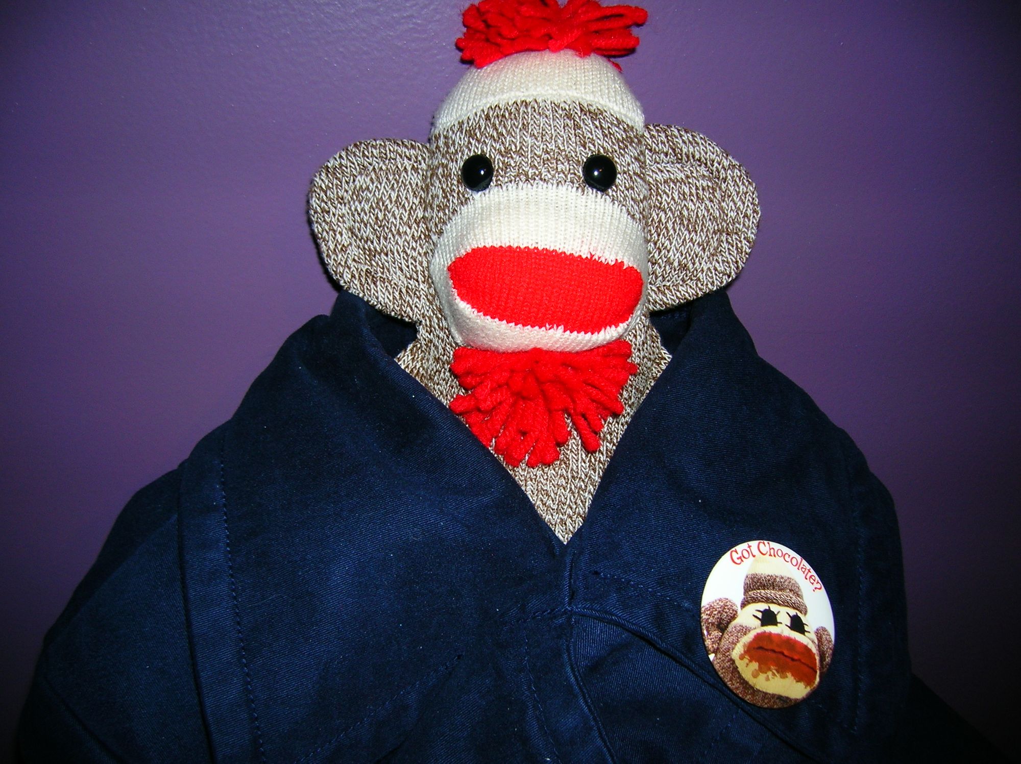 Sock Monkey Pin