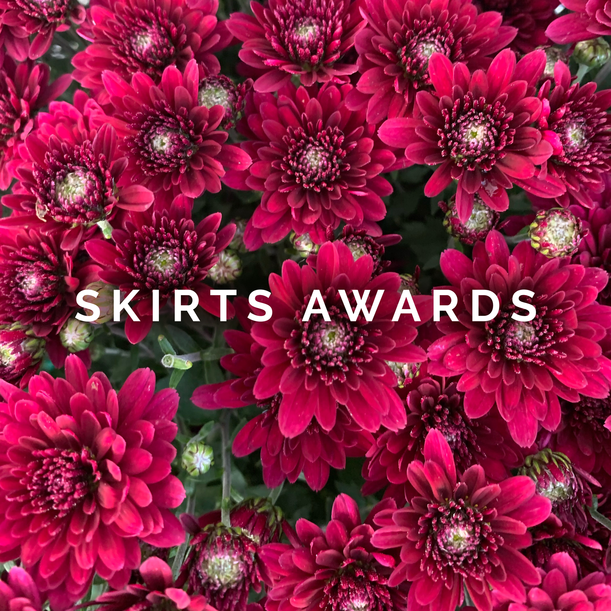 The 2019 Skirts Awards